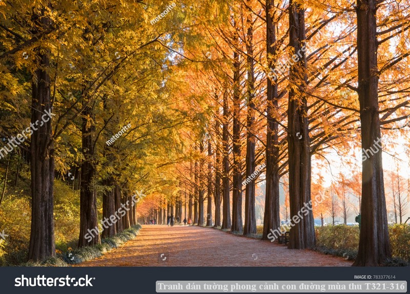 Tranh dán tường phong cảnh con đường mùa thu T321-316